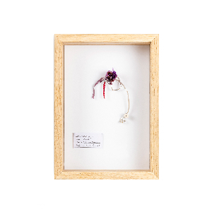 Julia Parry-Jones Julia Parry-Jones